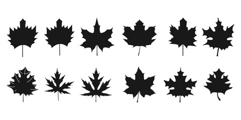 Set of canadian Maple leaf Bundle vector silhouette Design Vector pack black and white SVG Sticker graphics