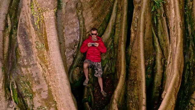 Epic Aerial view on 700 Years old Bayan Ancient Tree with active lifestyle travel people on nature background 4K 