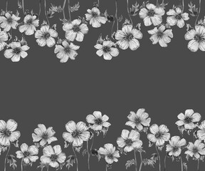 Horizontal seamless border of spring anemone flowers. Graphic monochrome botanical elements. Frame of plants hand drawn in watercolor on a gray background. Postcard, banner design