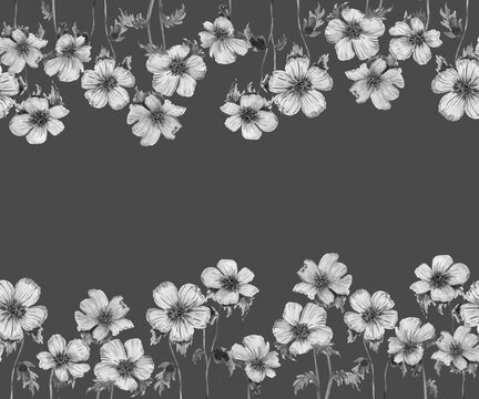Horizontal seamless border of spring anemone flowers. Graphic monochrome botanical elements. Frame of plants hand drawn in watercolor on a gray background. Postcard, banner design