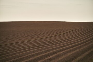 Naklejka premium Agricultural land under a beautiful sky at sunrise. Rural areas and countryside in the morning.