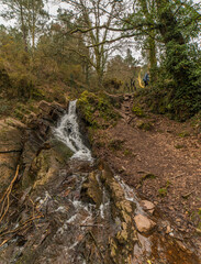 For&ecirc;t de Broc&eacute;liande &agrave; Tr&eacute;horenteuc, Morbihan, France