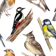 Watercolor seamless pattern with forest birds on a white background. Print for designs and decoration of children's products, textiles, clothes, stationery.Robin bird, titmouse, lark and woodpecker.