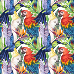 Naklejka premium Watercolor seamless pattern with birds in the tropics. Cockatoo parrot, Macaw, hummingbird in tropical jungle with strelitzia flower. Print for design and decoration