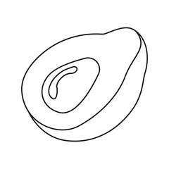 Vector illustration of avocado in doodle style