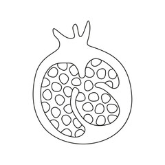 Vector illustration of pomegranate in doodle style