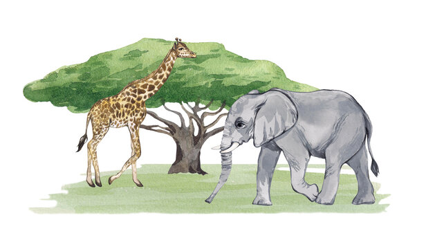 Watercolor composition with African animals on a white background. Elephant and giraffe on safari. Print for printing and design of children's products, books, children's room, baby picture.