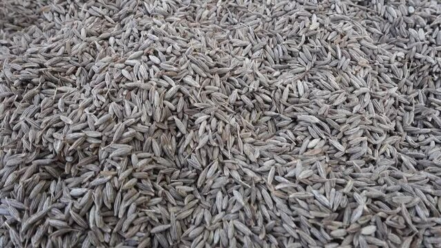 A close up shot of dried cumin in a big metal bowl.