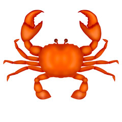 red crab isolated