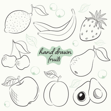 set of 8 sketching fruits in hand drawing style