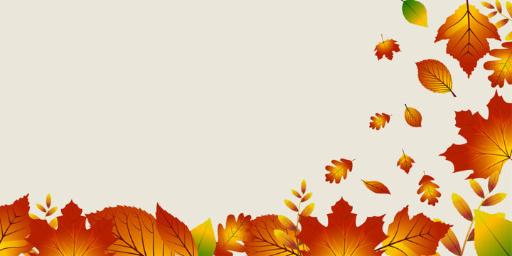 Beautiful autumn leaves decorative background with free space for your text. vector template