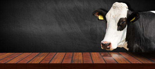 Close-up of an empty wooden table and a white and black dairy cow (heifer) looking at the camera, blank blackboard on background with copy space.