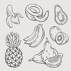 tropical fruits hand drawing sketch vector and coconut