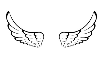 vector angel wings line art style	