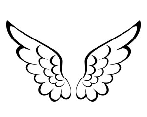 vector angel wings line art style	