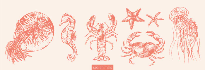 Vector sea animals illustration © katyabogina