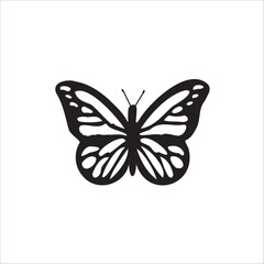 Vector butterfly on isolated background, butterfly illustration with open wings