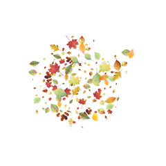 Leaves Falling Autumn Foliage Chaotic Leaf Flying