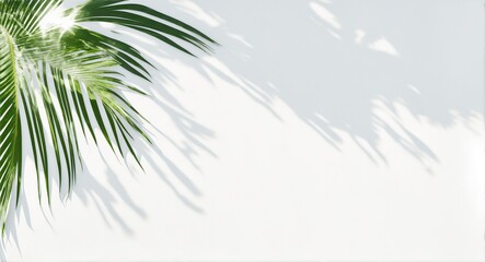 Tropical palm leaves with shadows on white concrete wall  blurred tropical background, generative ai