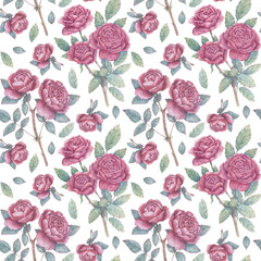 Seamless watercolor pattern with blooming rose branches, buds and leaves. Botanical background for wrapping paper, fabrics, design, etc.