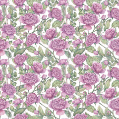 Seamless watercolor pattern with blooming rose branches, buds and leaves. Botanical background with pink flowers for wrapping paper, fabrics, printing, design, etc.