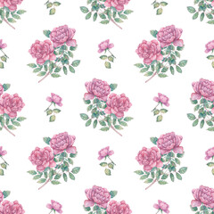Seamless watercolor pattern with blooming roses. Botanical background for wrapping paper, fabrics, design, etc.