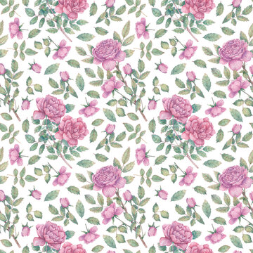 Seamless watercolor pattern with blooming roses, buds and leaves. Botanical background for wrapping paper, fabrics, design, etc.