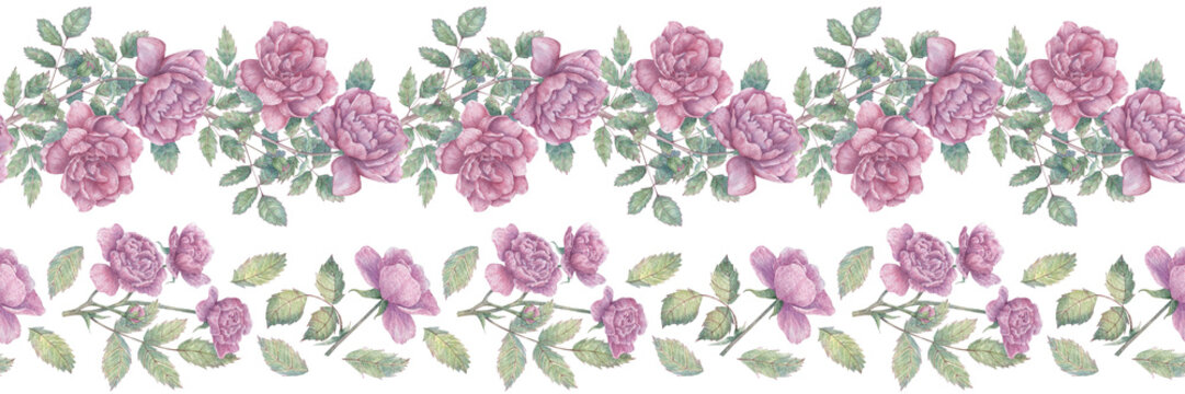 Seamless watercolor ribbon with blooming roses and leaves. Botanical border for packaging, washi tape, scrapbooking, design, etc.