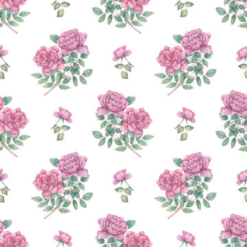 Seamless watercolor pattern with blooming roses. Botanical background for wrapping paper, fabrics, design, etc.