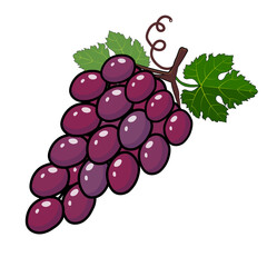 Bunch of purple grapes with stem and leaf