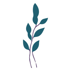 Leaf flat illustration