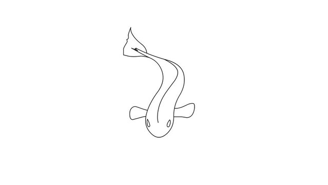 Hand Drawn Animation Of The Movement Of A Swimming Fish