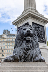 One of the four lions in Trafalgar Square, surrounding Nelson's Column, are commonly known as the &lsquo;Landseer Lions&rsquo;