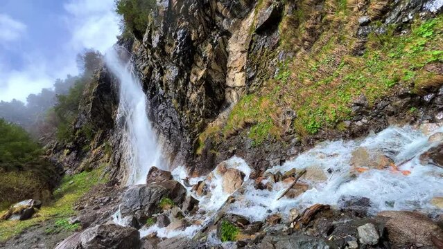 Hares waterfall in rainy weather in the mountains. A thick fog is spreading over the pine forest. Shooting a waterfall in spruce forests on mountain hills on a foggy day. North Ossetia. Digoria Gorge.