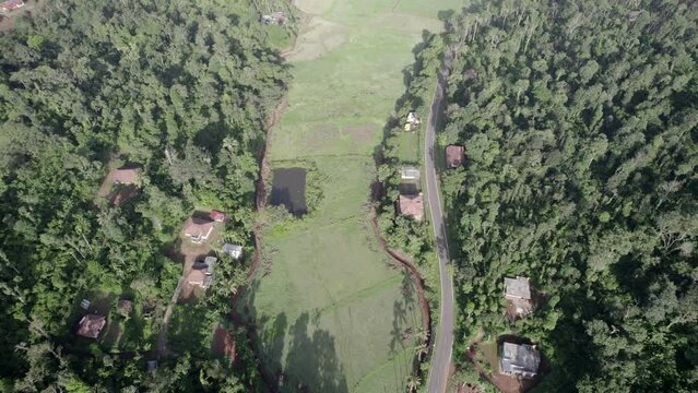A road passing through the village, Coorg, Pond and Homes