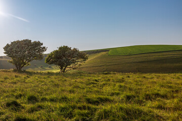 Looking out over the South Downs in Sussex, with evening light