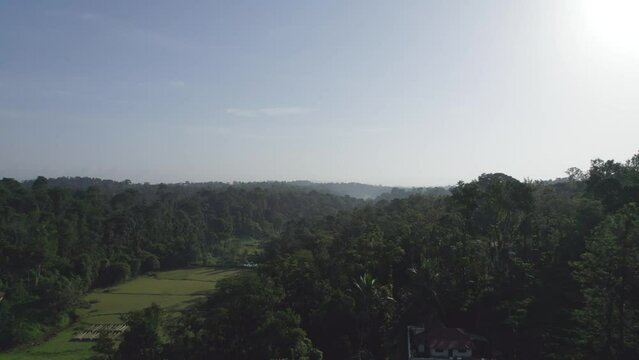 Green Kodagu hills and faddy field