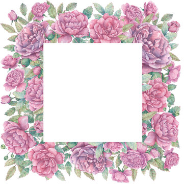 Square watercolor frame with blooming pink rose branches, buds and leaves. Botanical border for cards, flyers, invitations, design and more.