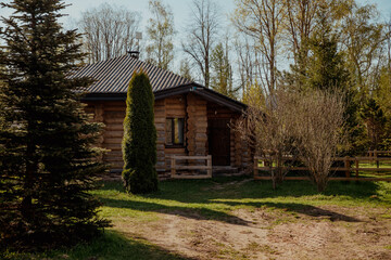 Wooden country house in woods on sunny day
