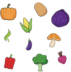 Set of vegetables; pumpkin, potato, red cabbage, pea, corn, eggplant, mushroom, red pepper, broccoli, beetroot isolated on white
