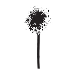 Dandelion Black and White Vector illustration plant