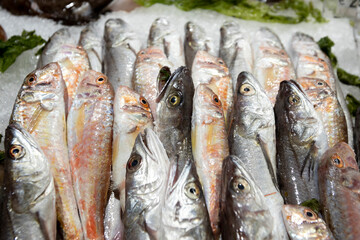 Obraz premium freshly caught fish lined up ready to be sold on the counters of a supermarket
