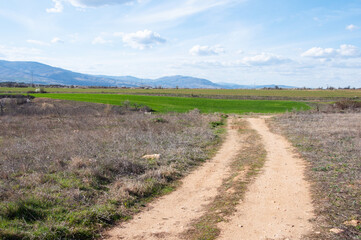 Country landscape, dirt road, early spring