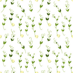 A pattern of green pea sprouts on a white background. Vector illustration for decoration, postcards, print, fabric