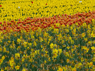 Egmond an der Nordsee in den Niederlanden