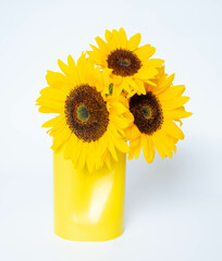 Sunflowers in a yellow vase, on a white background
