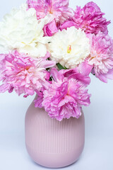 Pink and white peonies in a pink vase on a white background