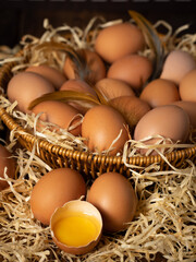 Eggs inside chicken coop, farm interior scene, fresh eggs and thatch