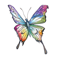 Watercolor magic rainbow Butterfly, Isolated on white, fantasy folk wings, wedding garden design element