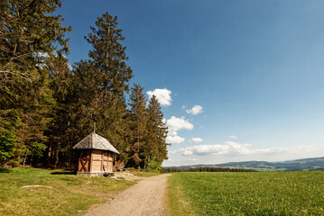 Fototapeta premium Deutschland - Baden-Württemberg - Sankt Märgen - Wanderweg